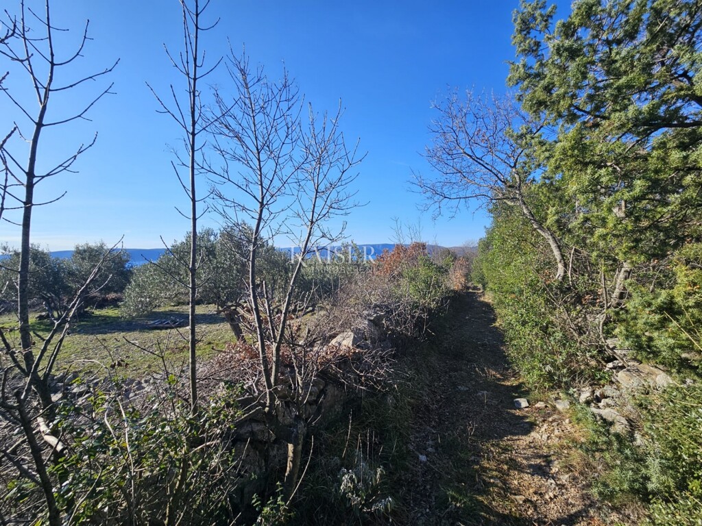 Image 6236786 - 3