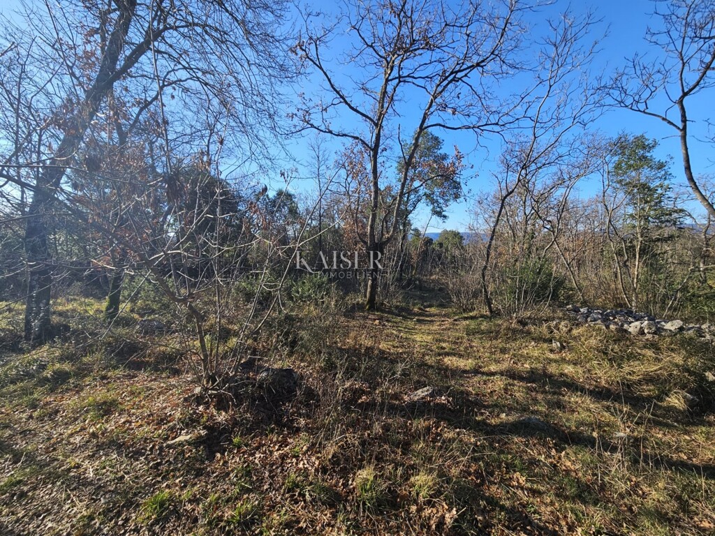 Image 6236786 - 4