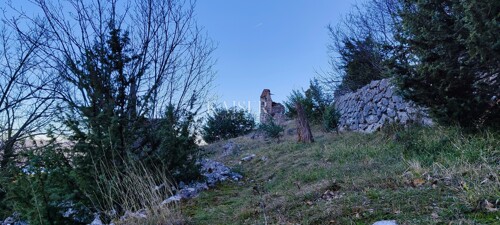 Thumbnail 6236787 - 11