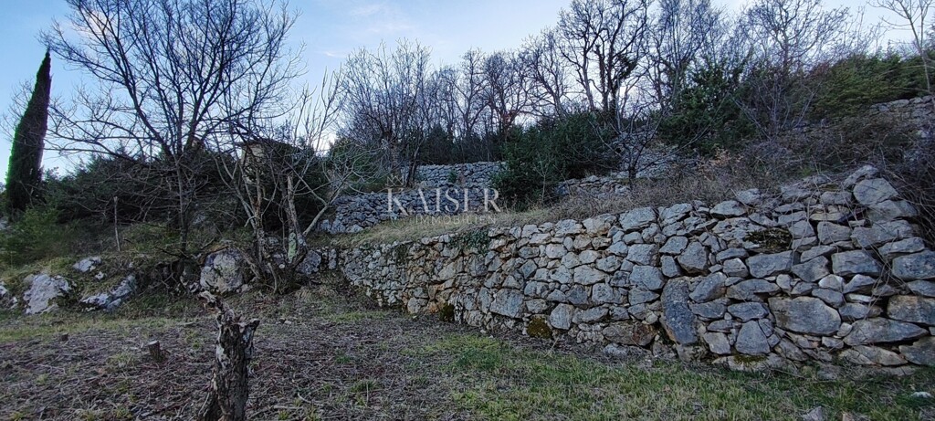 Image 6236787 - 16