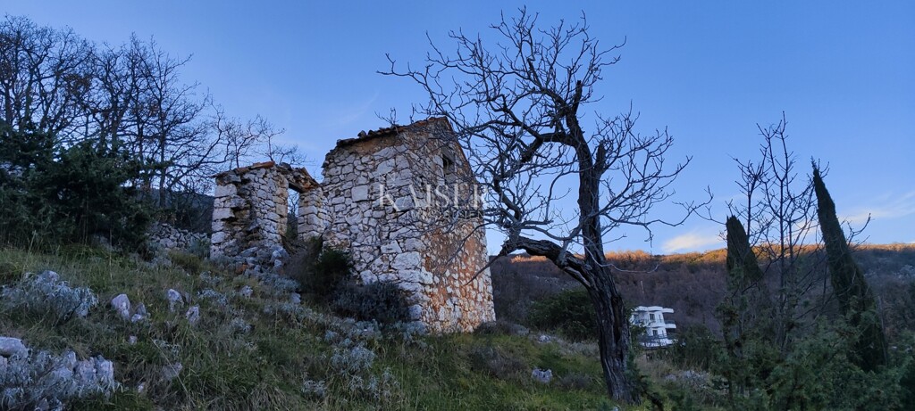 Image 6236787 - 19