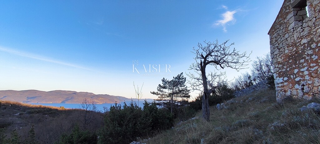 Image 6236787 - 5