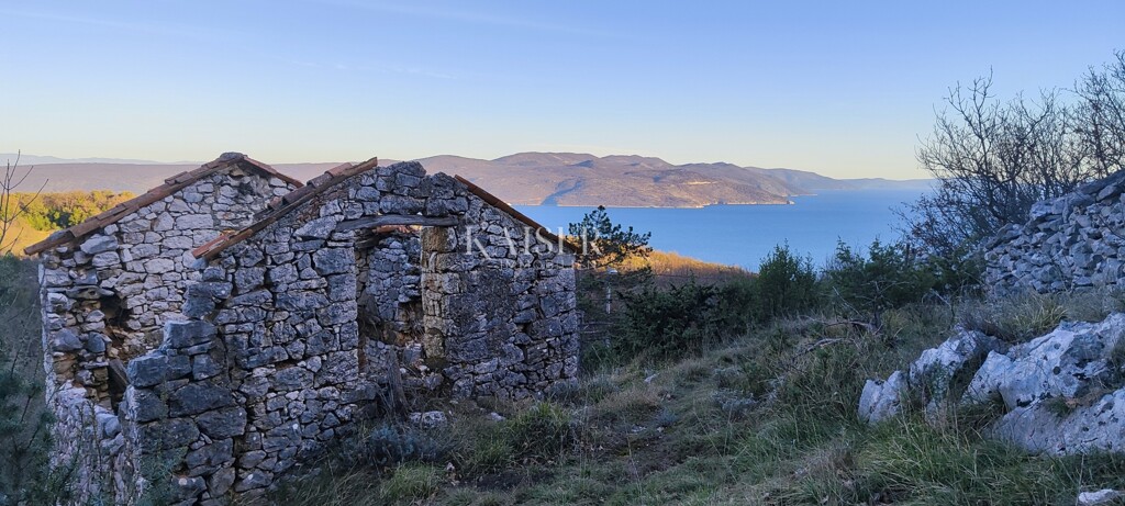 Image 6236787 - 1