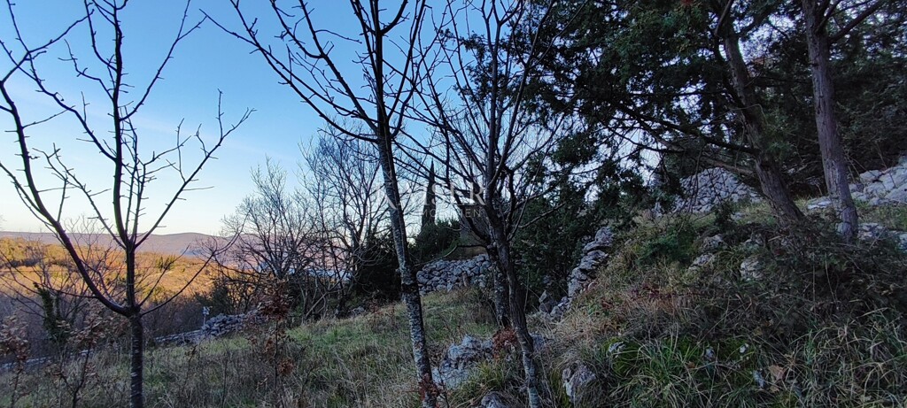 Image 6236787 - 9