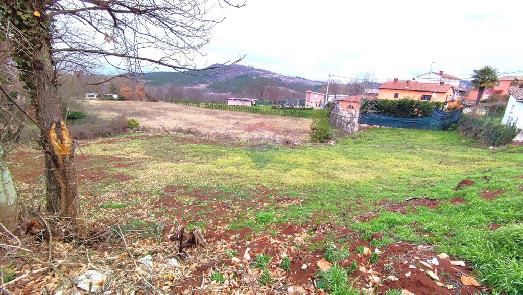 Image 6236822 - 2