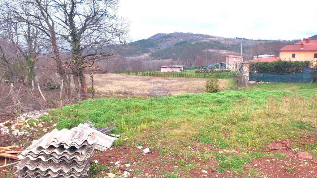 Image 6236822 - 4