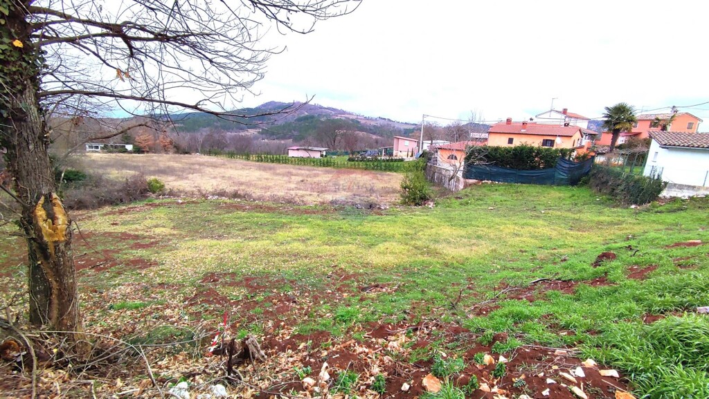 Image 6236822 - 1