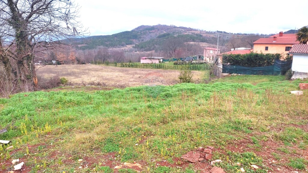 Image 6236822 - 3
