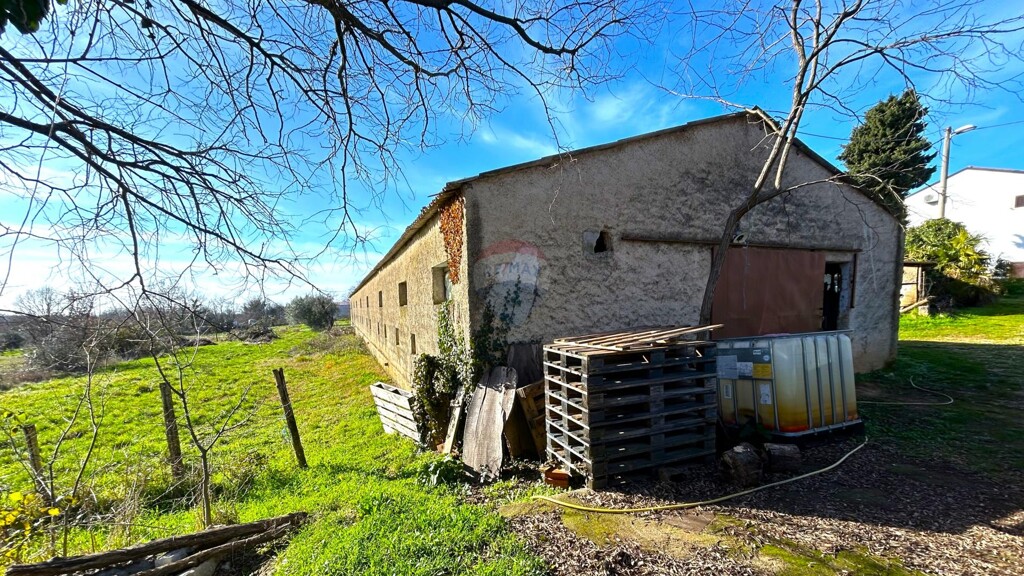 Image 6236824 - 8