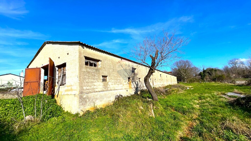 Image 6236824 - 6