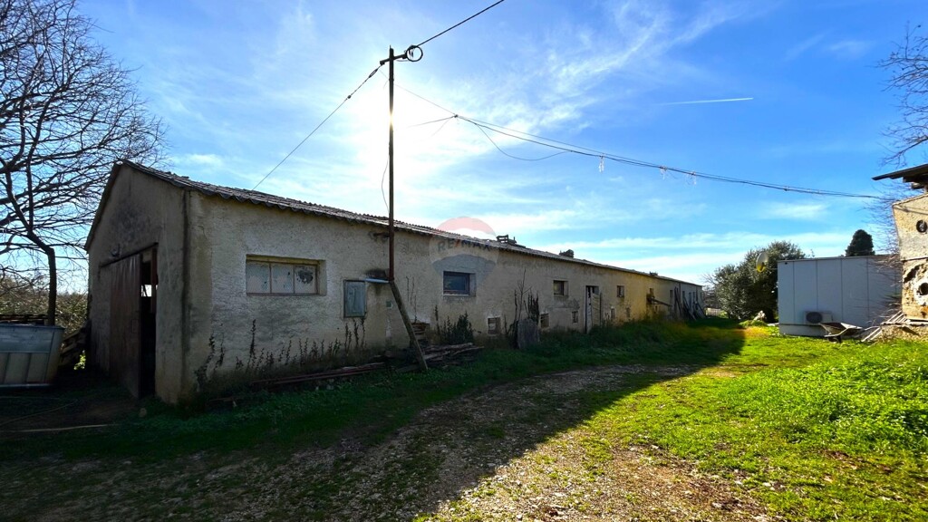 Image 6236824 - 7