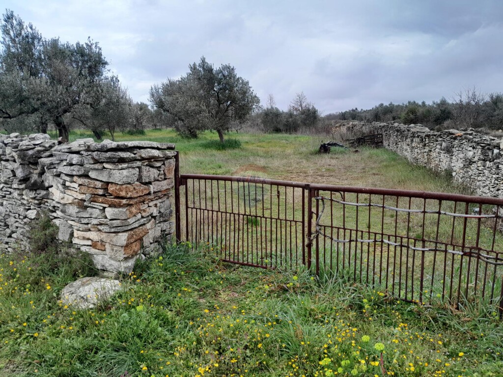 Image 6237090 - 2