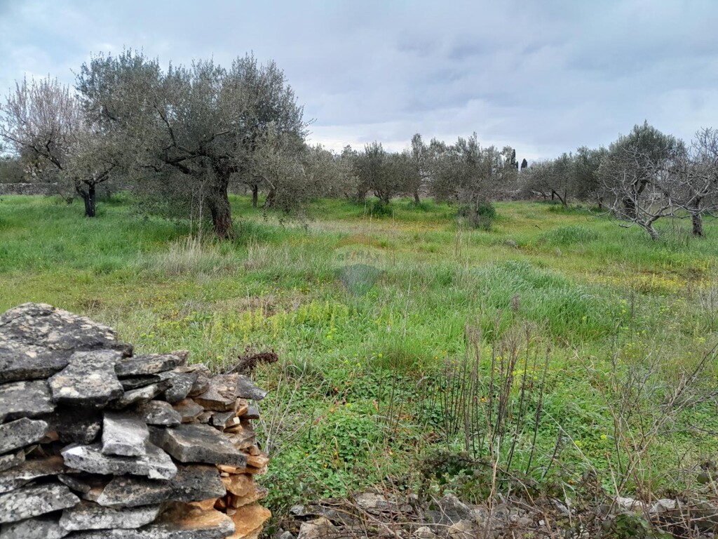 Image 6237090 - 8