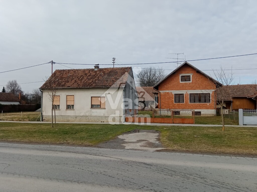 Image 6237098 - 1