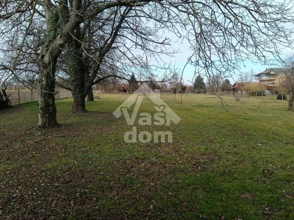 Image 6237098 - 7