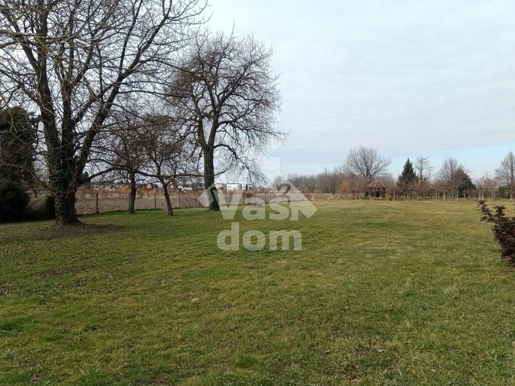 Image 6237098 - 8