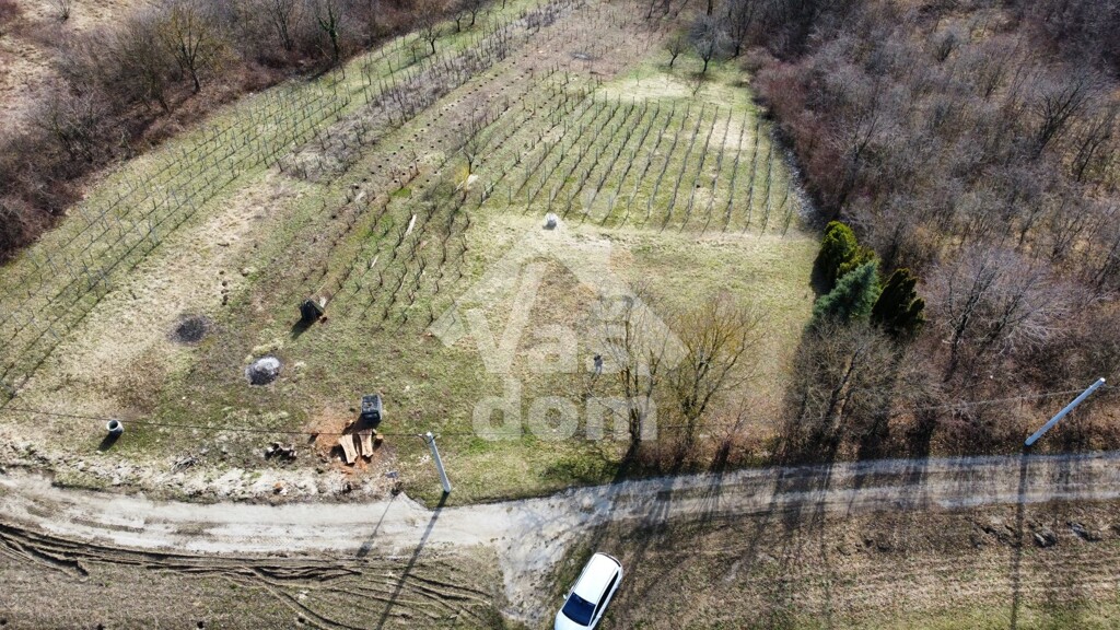Image 6237099 - 5