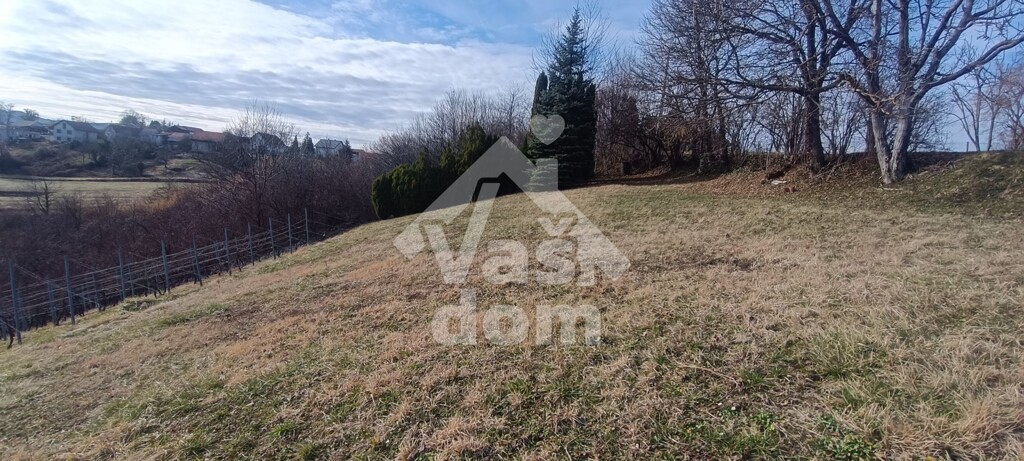Image 6237099 - 3