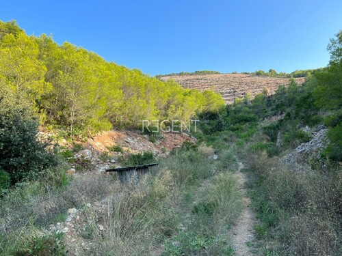 Thumbnail 6237102 - 5