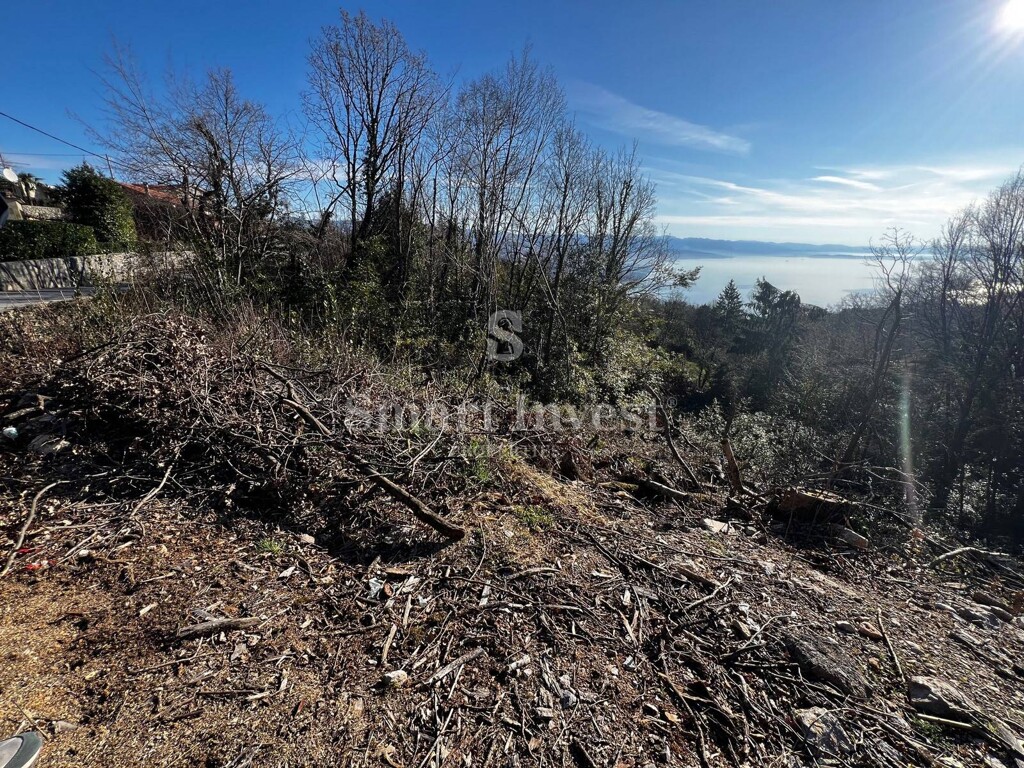 Image 6237119 - 4
