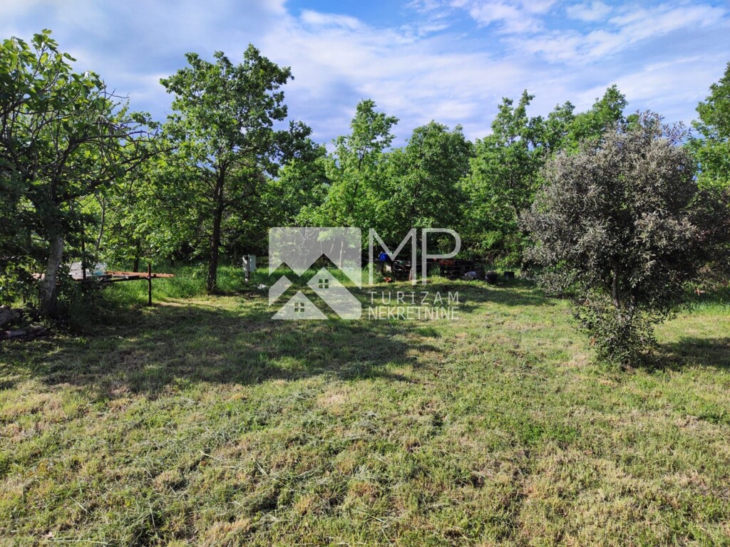 Image 6237120 - 6