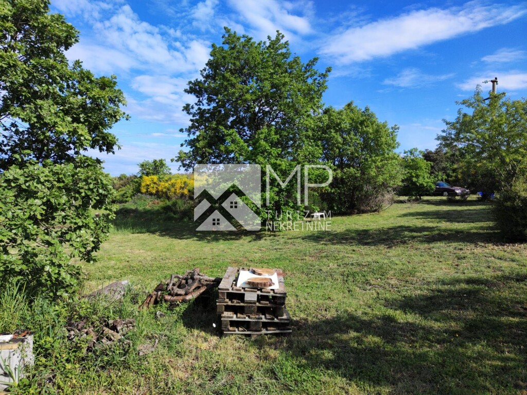 Image 6237120 - 9