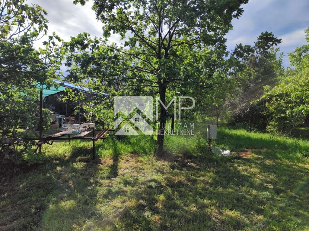 Image 6237120 - 4