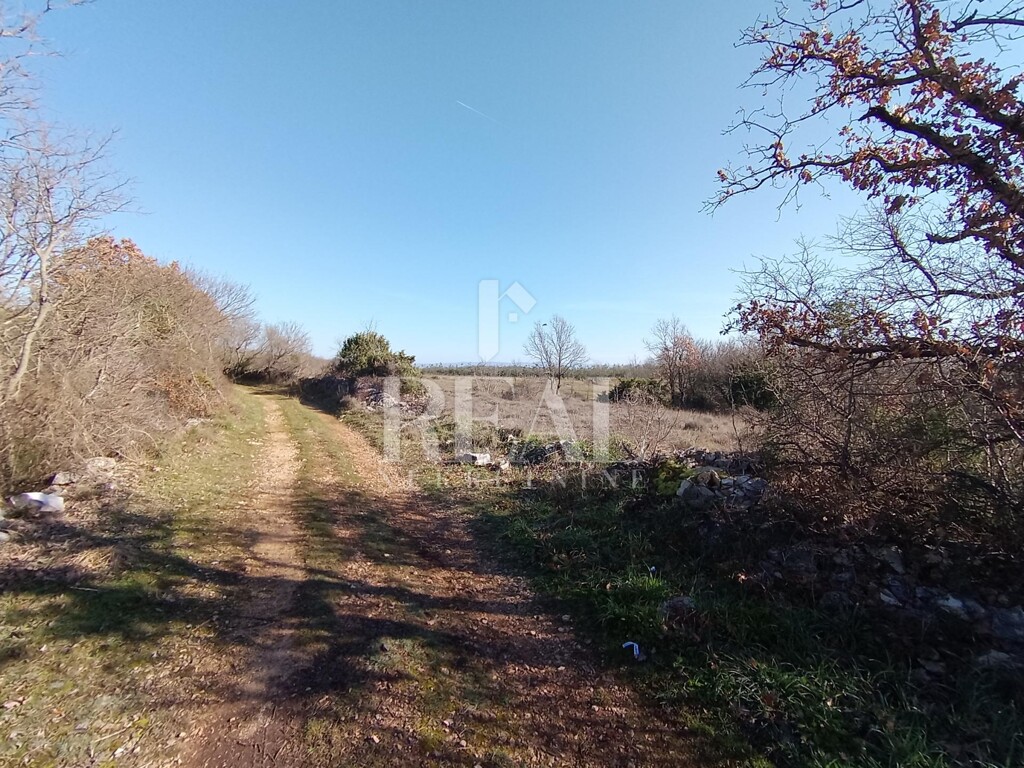 Image 6237123 - 8