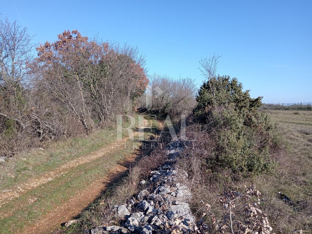 Image 6237123 - 3