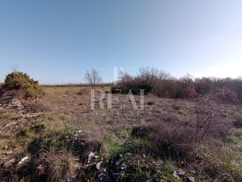 Image 6237123 - 7