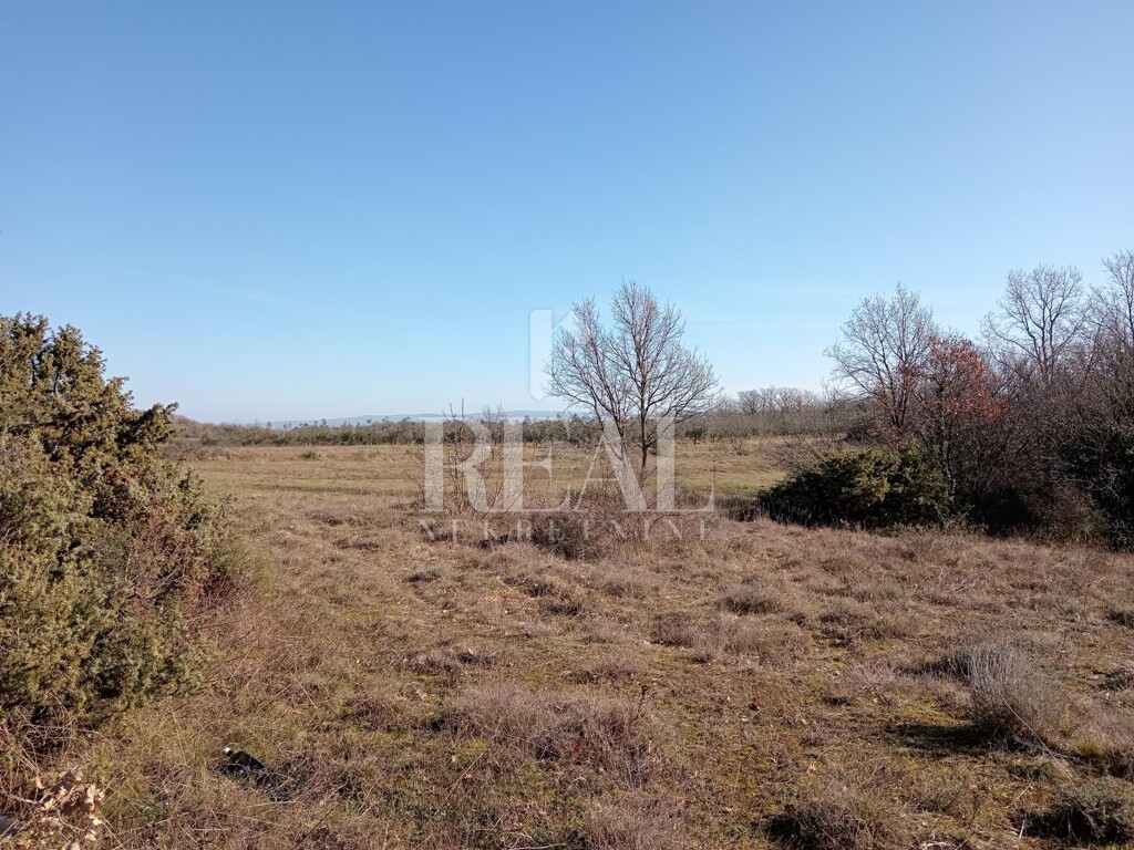 Image 6237123 - 4