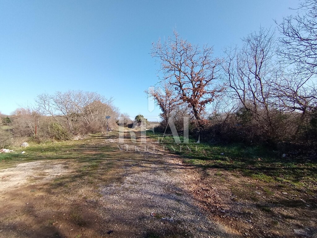 Image 6237123 - 2