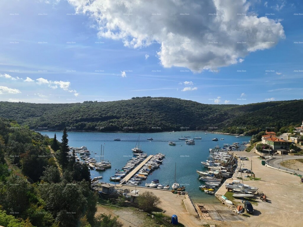 Image 6237143 - 3