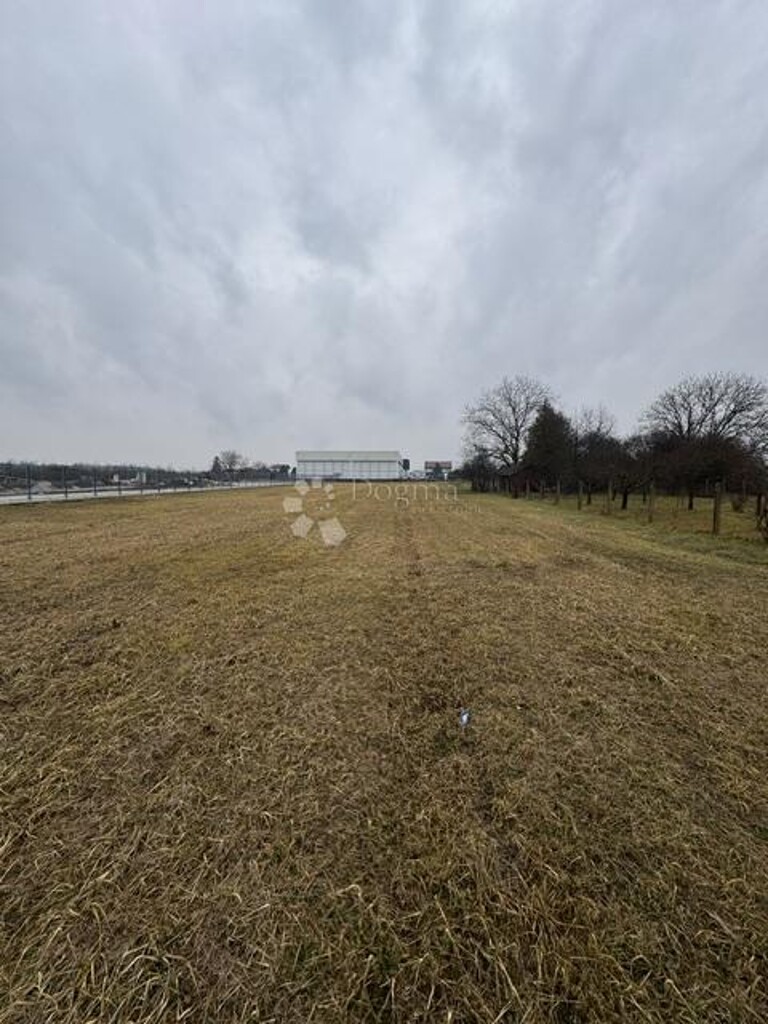 Image 6237315 - 1
