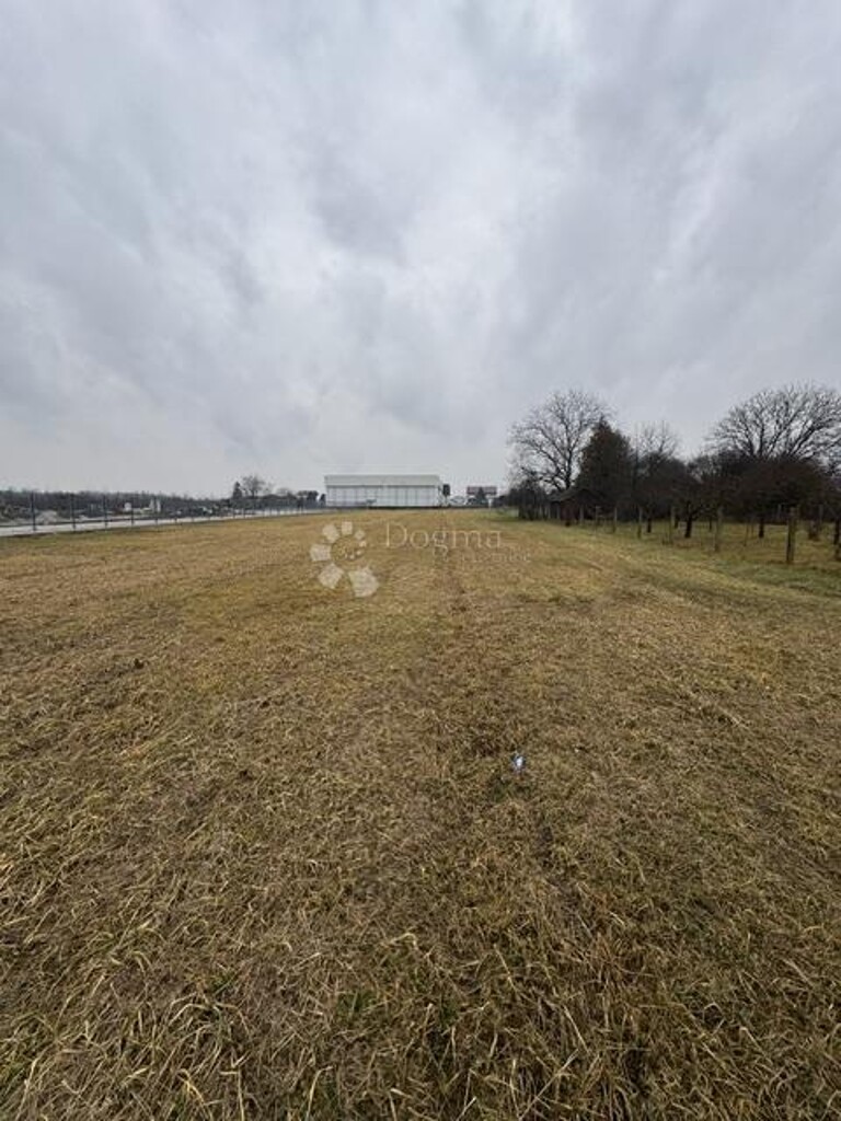 Image 6237315 - 2
