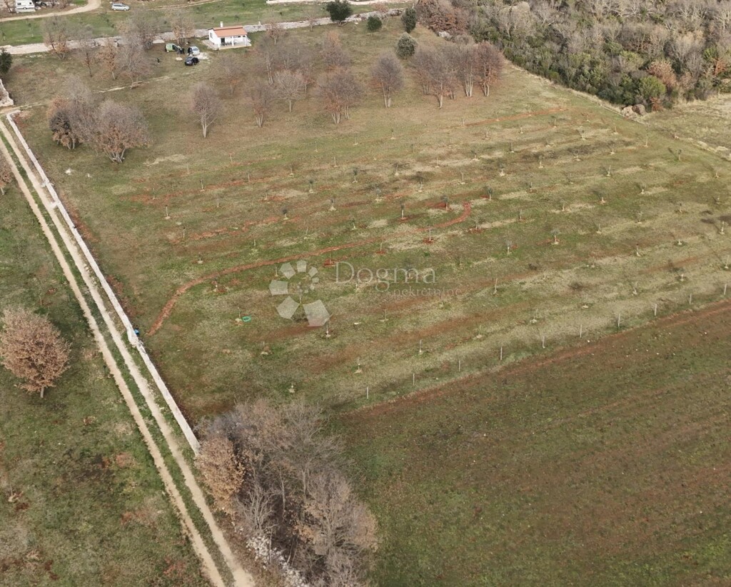 Image 6237317 - 4