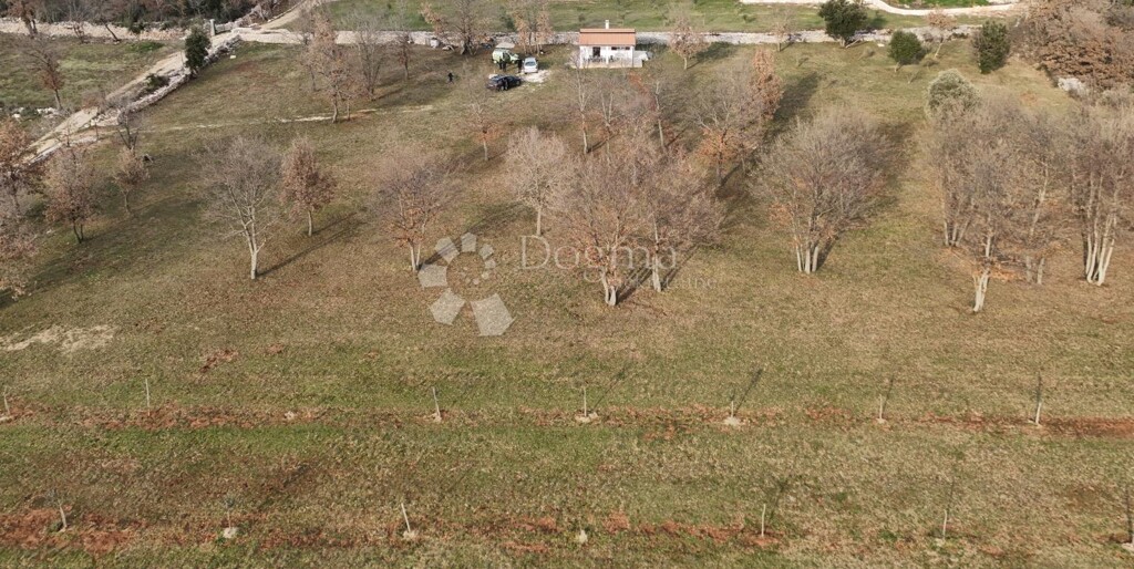 Image 6237317 - 3