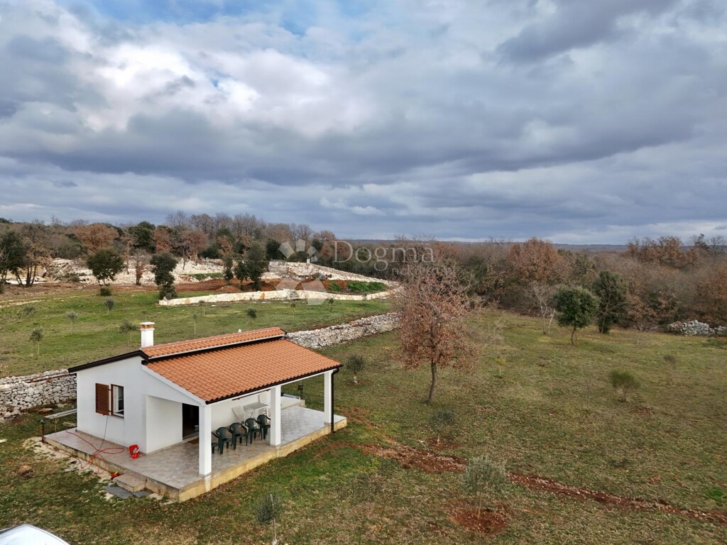 Image 6237317 - 1