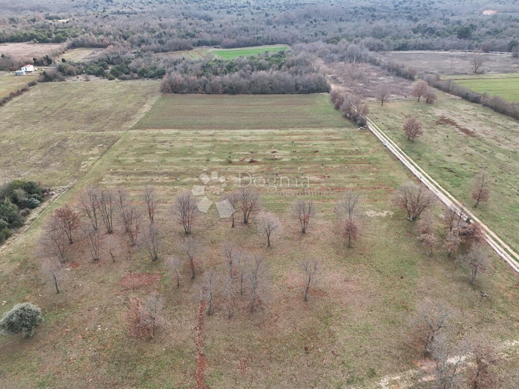 Image 6237317 - 6
