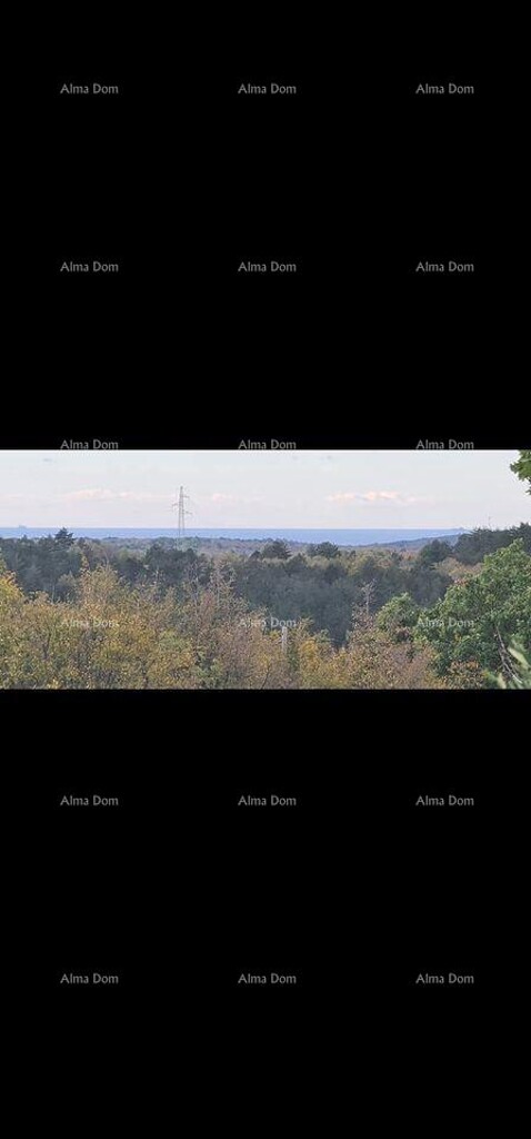 Image 6237360 - 2