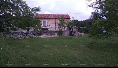 Thumbnail 6237360 - 4