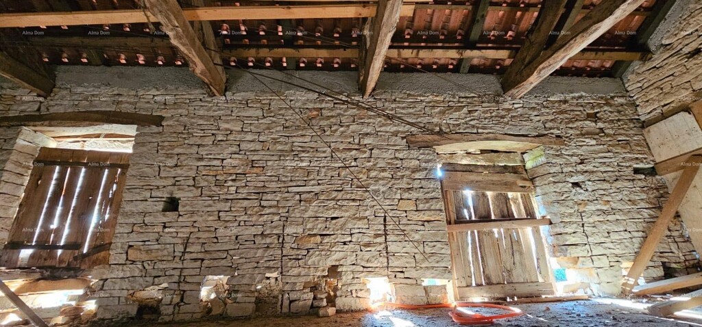Image 6237360 - 8