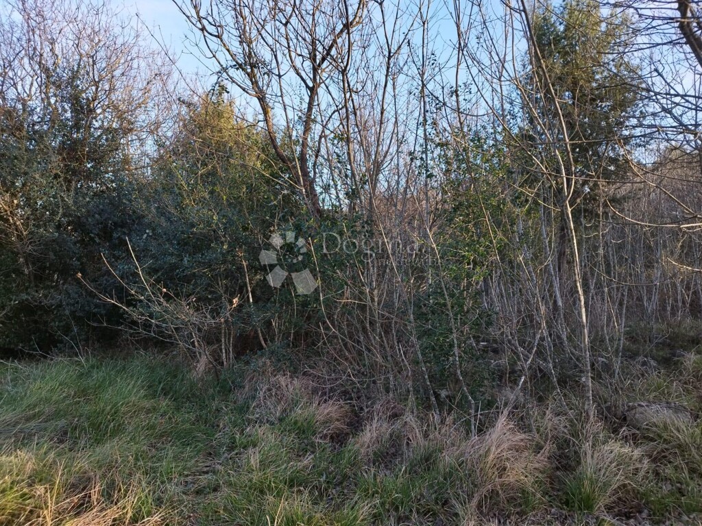 Image 6237766 - 2