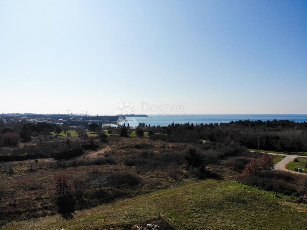 Image 6237768 - 2