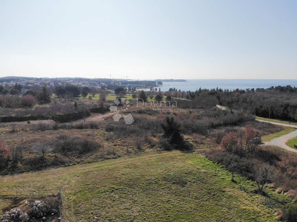 Image 6237768 - 6