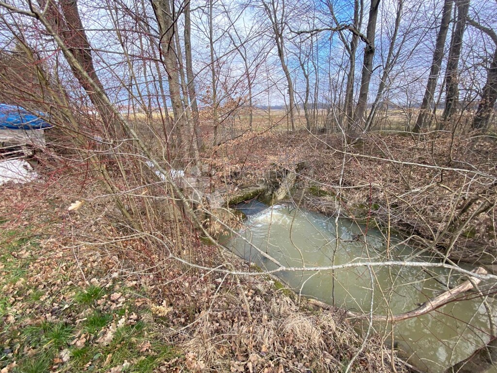 Image 6237771 - 19