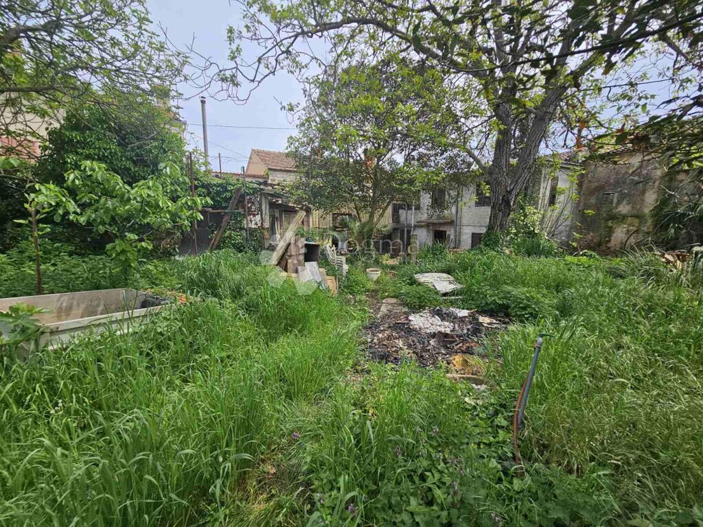 Image 6237776 - 20