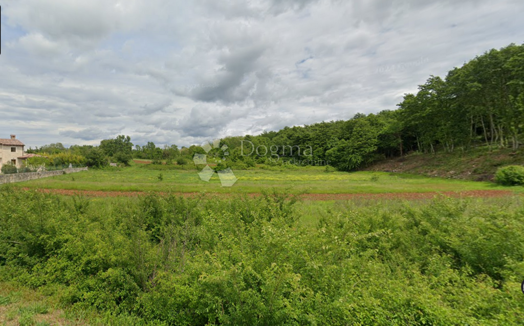 Image 6237779 - 1