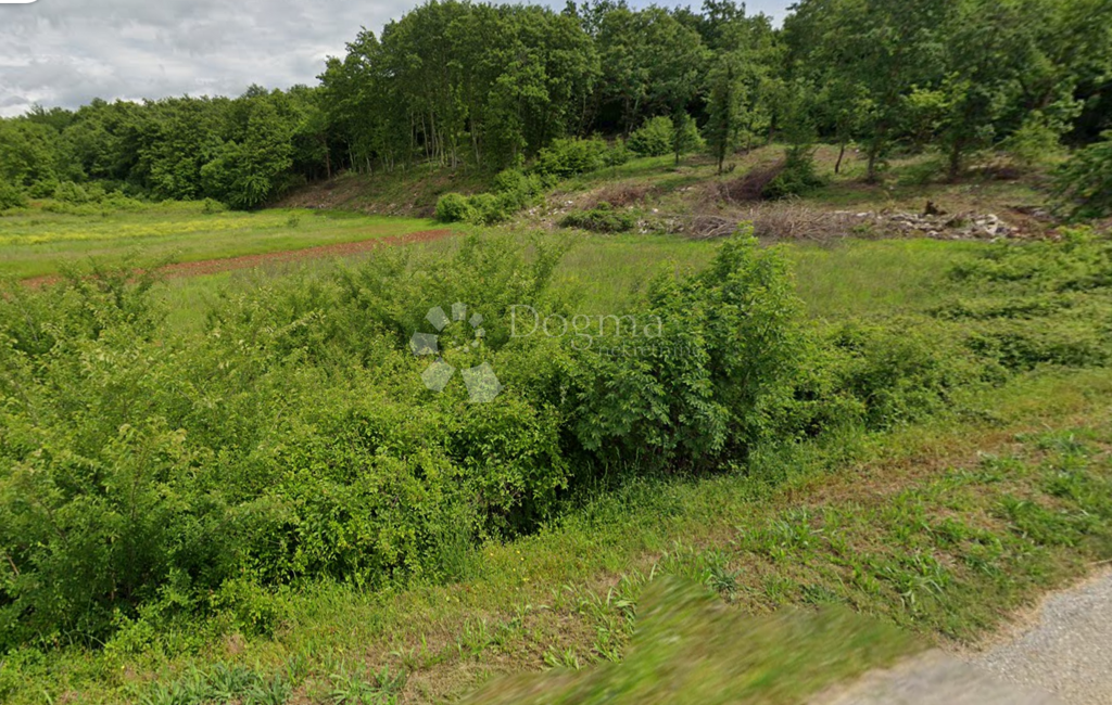 Image 6237779 - 2