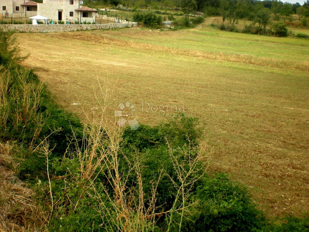 Image 6237779 - 3